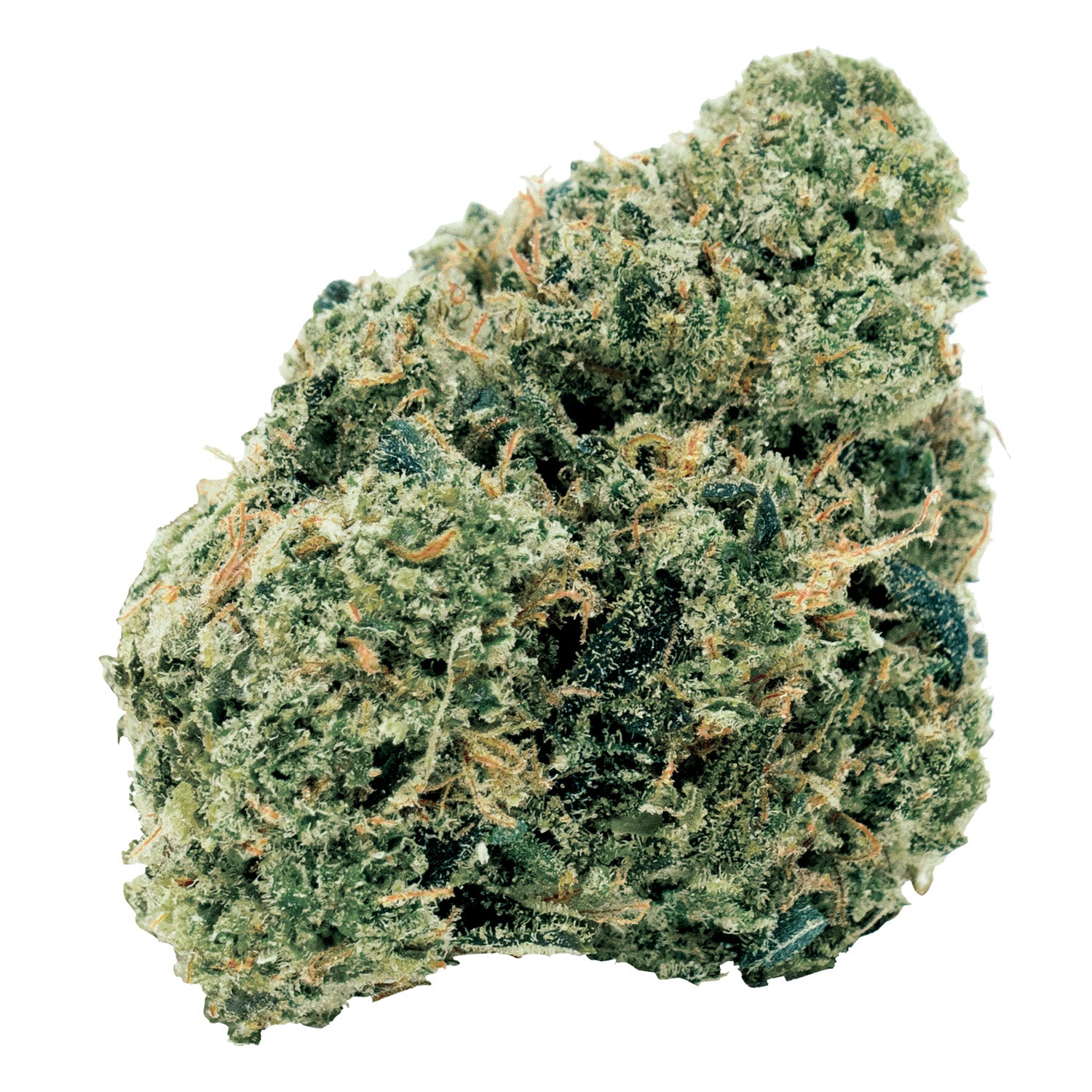 7ACRESNORTHERN OG KUSH