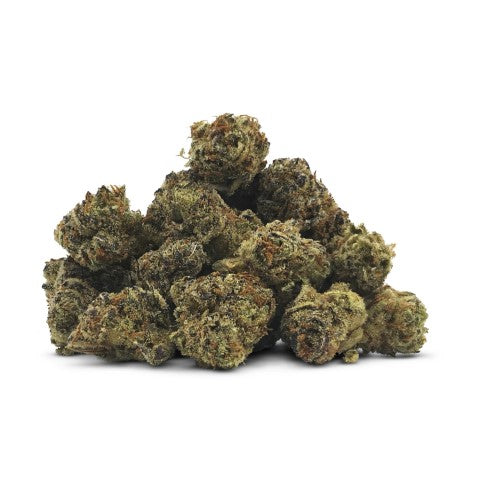 BC SMALLS - PURPLE OASIS SMALLS