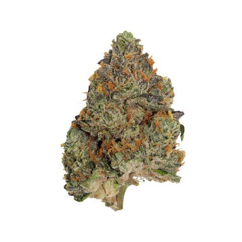 PISTOL AND PARIS - BLUE ZUSHI