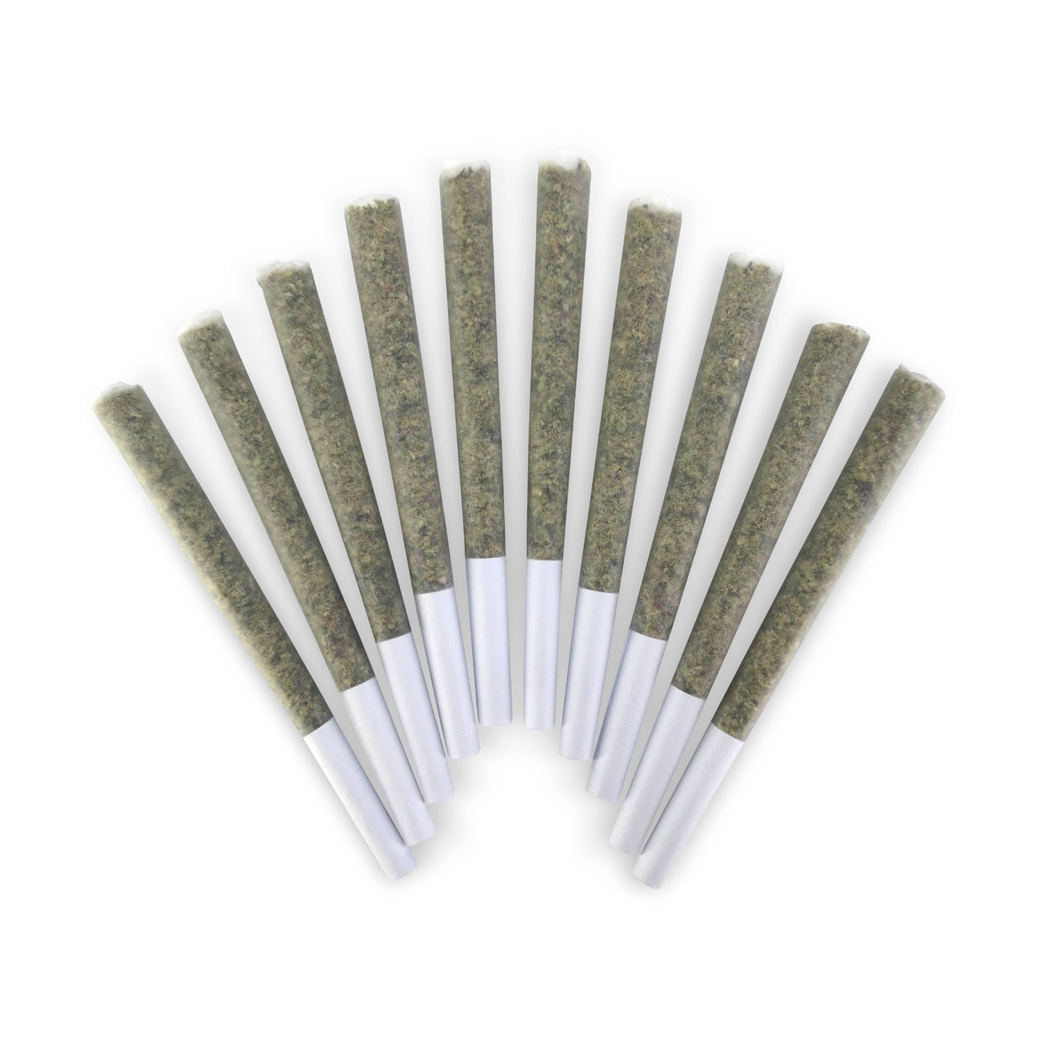 BC DOOBIES - ZUPERNOVA PRE-ROLLS