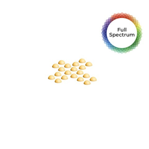 LAUGHING ASS BY THE HAZY CAMPER - FULL SPEC DIMES