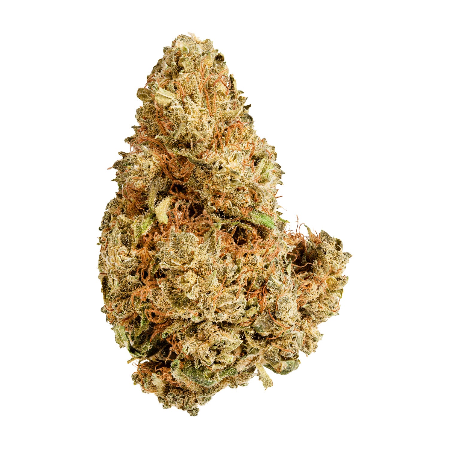 VERSUS - PURPLE AFGHANI