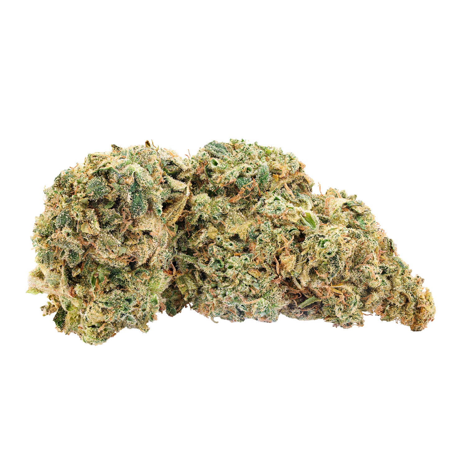 TRAILBLAZER - BRITNEY'S FROZEN LIMELIGHT LTO