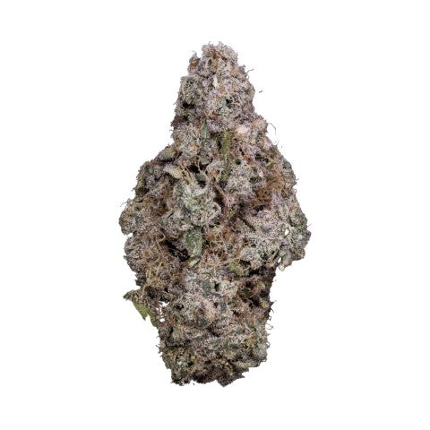 TRIBAL - PORTO LECHE