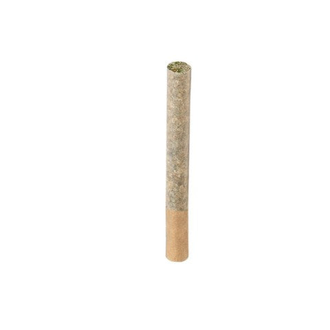 Maple Blizzard pre rolls (10 x 0.5g)
