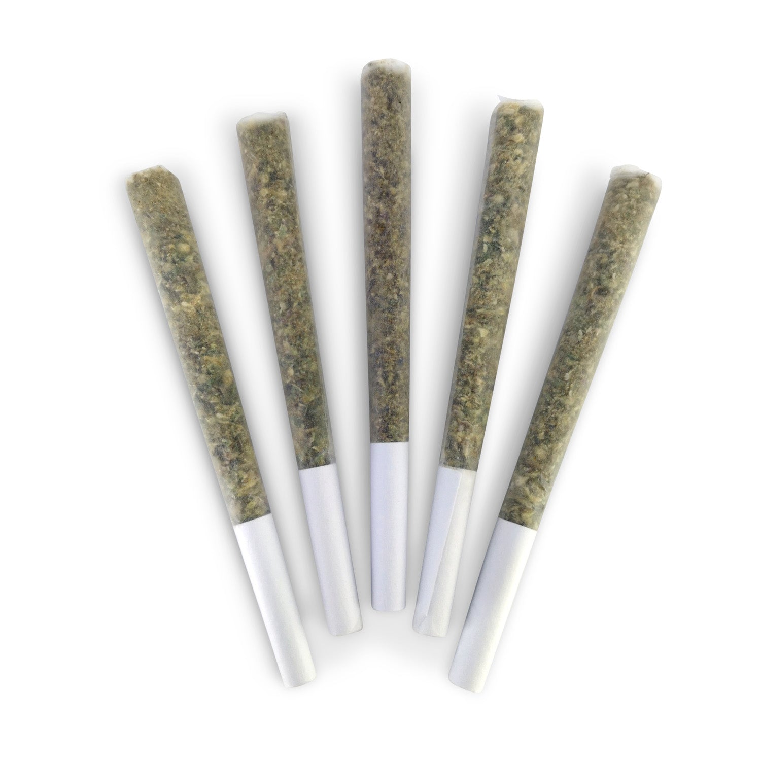 DEALR - EL CHANGUITO PRE-ROLLS