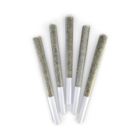 DEALR - OG1 KENOBI PRE-ROLLS