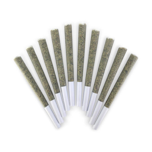 BC DOOBIES - DAILY OPERATION PRE-ROLLS