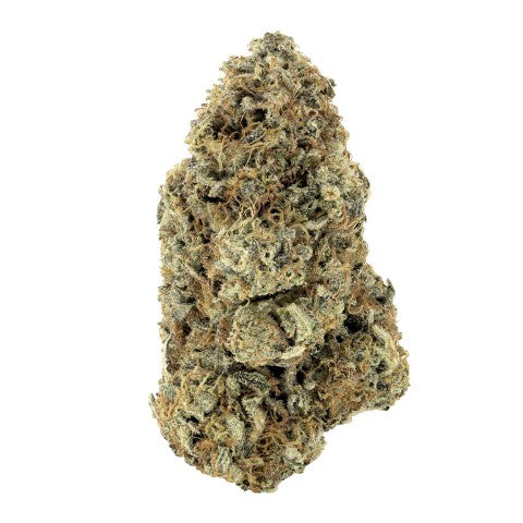 WOODY NELSON - RAINBOW DRIVER CRAFT FLOWER