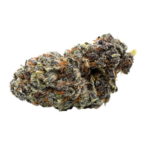 QWEST - GEORGIA PIE FLOWER