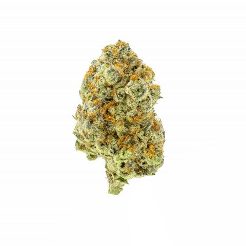 ALL NATIONS - CADILLAC RAINBOW