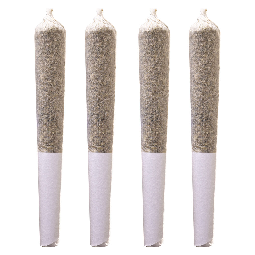 POTLUCK - POTLUCK TASTER PACK PR4X0.5G