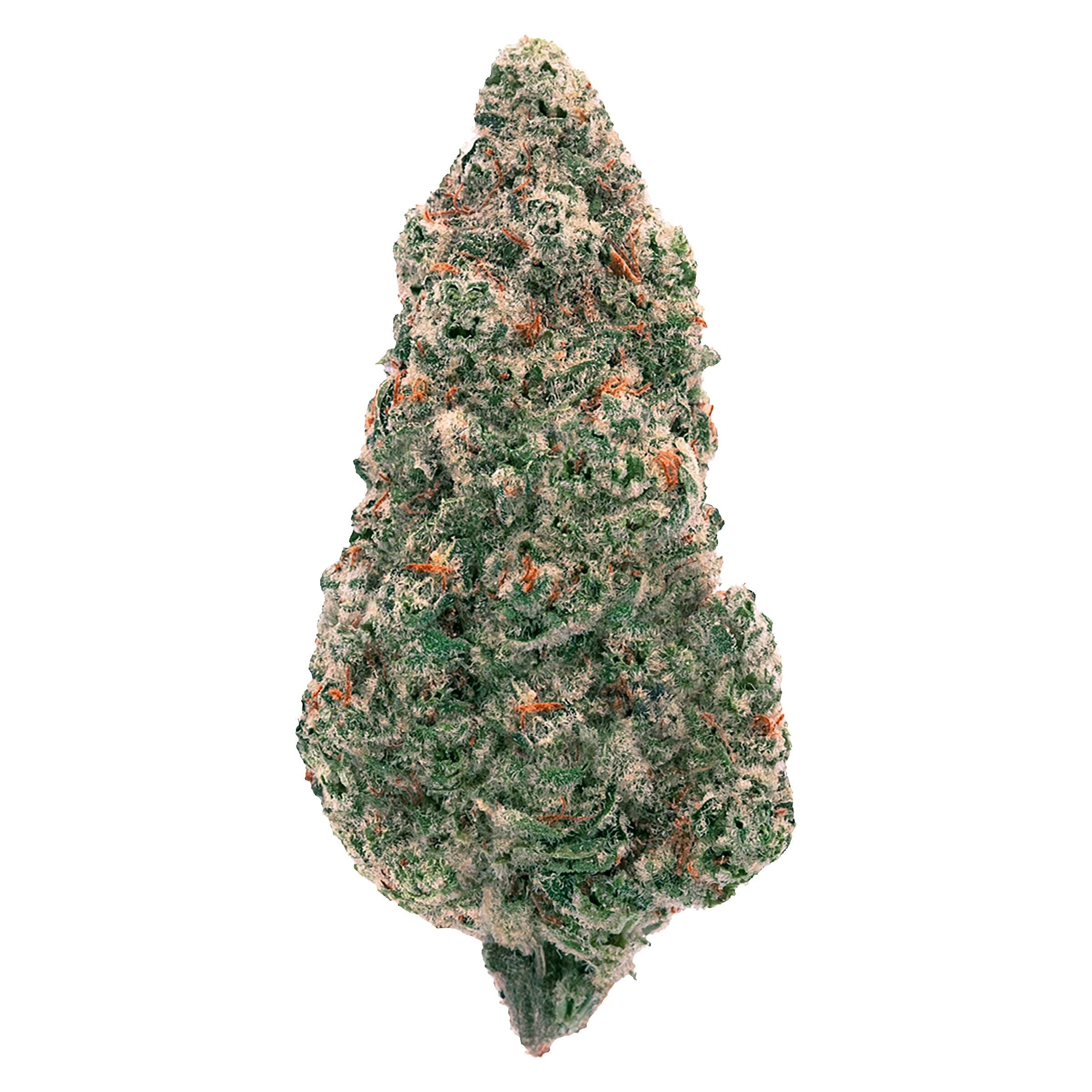BACK FORTY - MANDARIN COOKIES 7G
