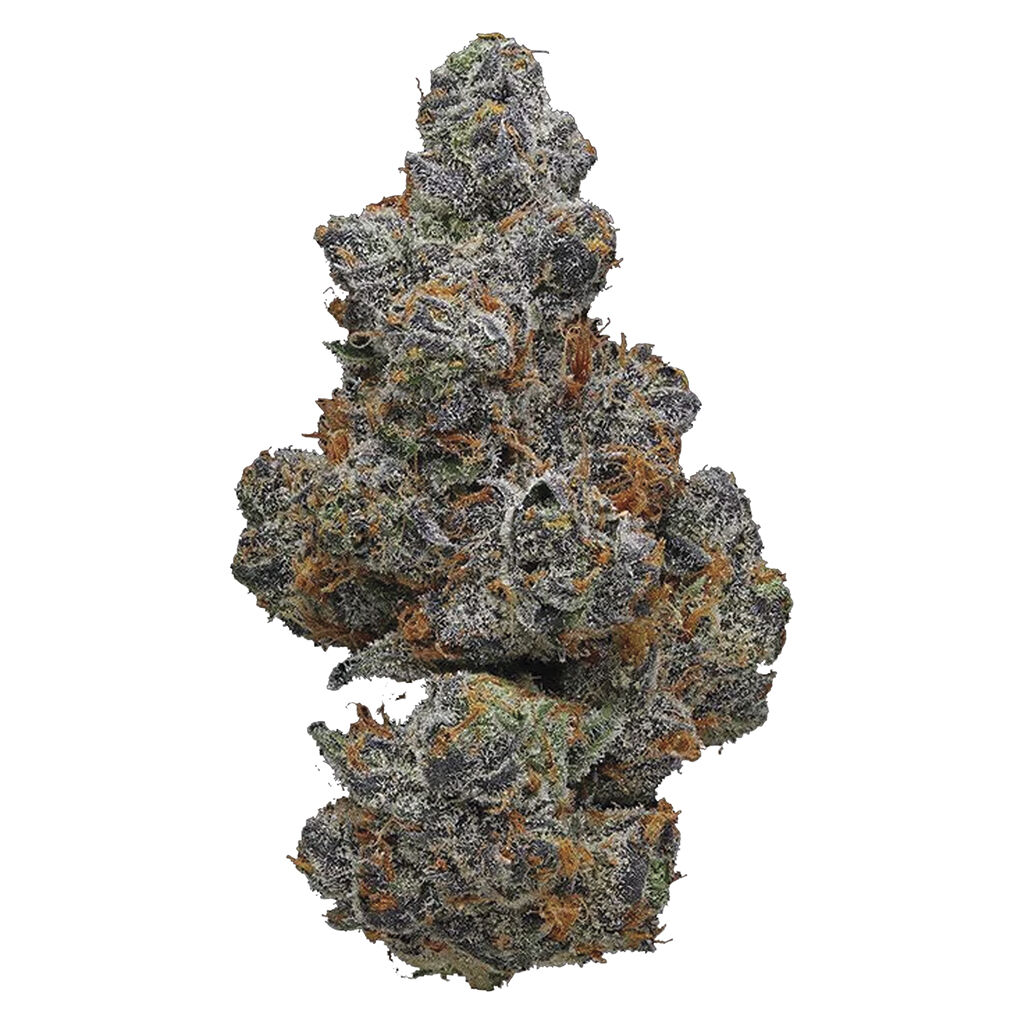 POTLUCK - APPLE FRITTER 7G