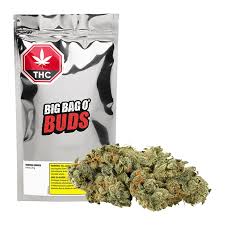 BIG BAG O' BUDS - TROPICAL COOKIES 28G