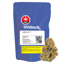 POTLUCK - BLUEBERRY TART PR1X0.5G