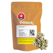 POTLUCK - MAPLE PANCAKES PR1X0.5G
