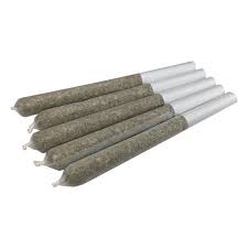 LOCKER ROOM - SLAM DUNKERZ PR14X0.5G