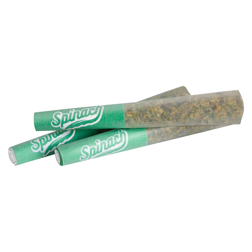 SPINACH - BLUE THAI PR3X0.5G