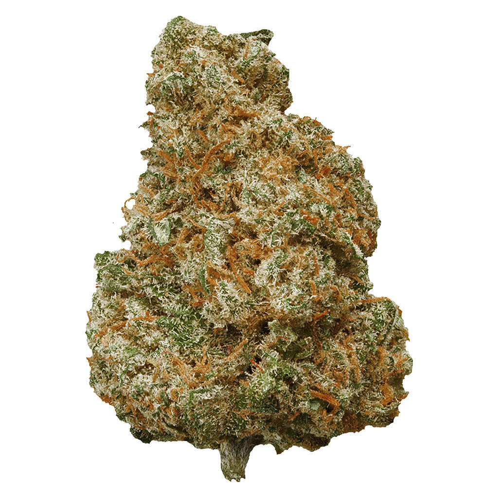 POTLUCK - MANGO DREAM 7G